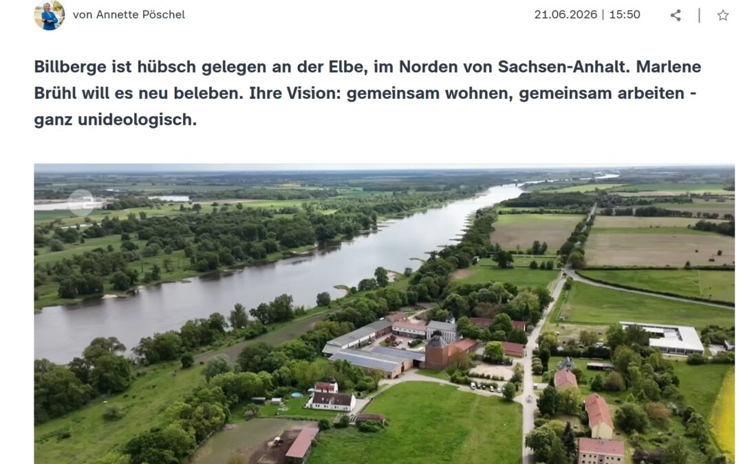 Warum eine Berlinerin ein fast verlassenes Dorf kauft / Wohnprojekt in Sachsen-Anhalt | zdfheute.de